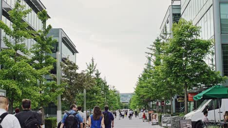 young university students or employees on campus walking away from the camera along a tree lined avenue between modern commercial buildings