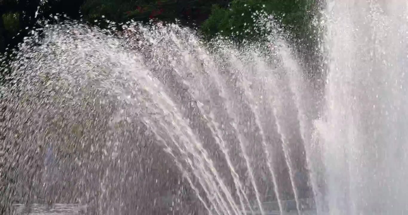 Uno spettacolo mozzafiato di giochi d'acqua di una fontana che danzano in un parco urbano, mettendo in mostra la bellezza della natura.