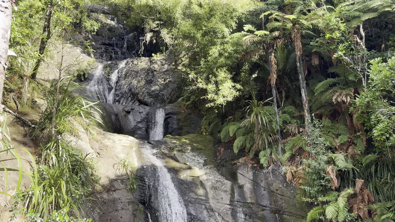 wide shot of fairy fall, auckland, focusing on the waterfall