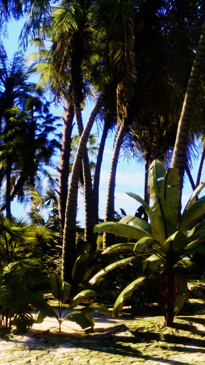 Palmeras en una playa tropical