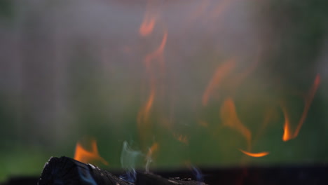 background of burning hot coals. close up view of bonfire burning outdoors