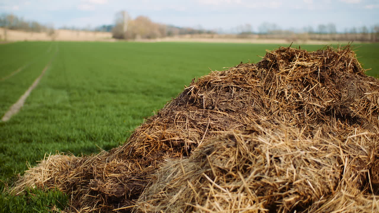 estiércol tirado en el campo en el campo