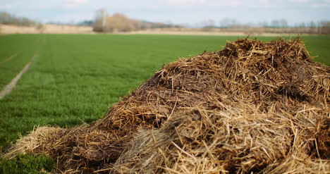 manure lying in field in countryside