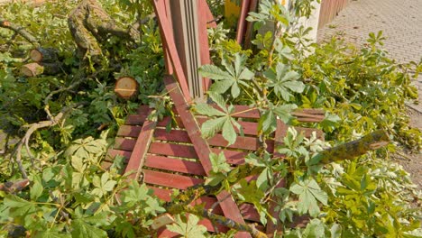 Panning-view-of-storm's-aftermath:-broken-fence-and-fallen-tree