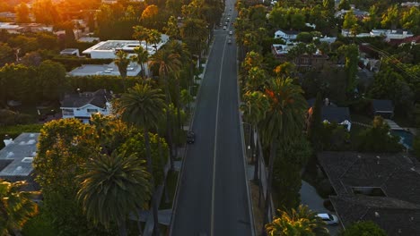 drone footage flying above upscale beverly hills homes in los angeles, california at golden hour, palm trees lining the street