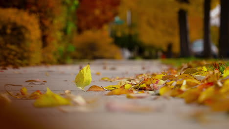 autumnal leaves falling over sidewalk on a windy day