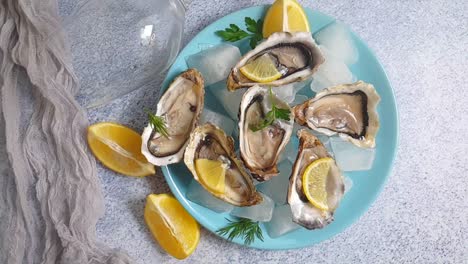 fresh oysters pieces lemon ice slow motion