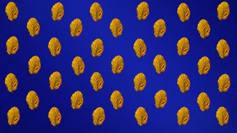 animación de filas de hojas amarillas de otoño sobre fondo azul