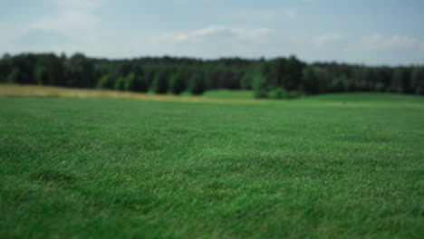 Green-golf-course-grass-growing-on-fairway-field.-Tranquil-landscape-concept.