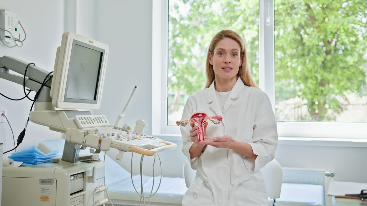 Sistema Reprodutor Feminino: Explicação por Médico