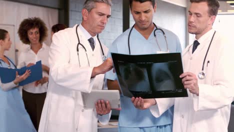 doctors talking together while looking x-ray