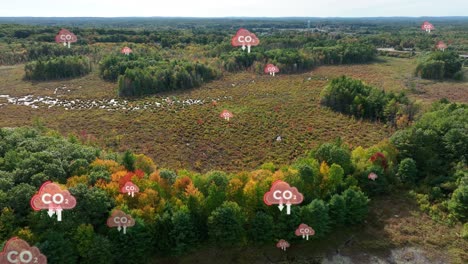 Bosque-Deforestado-Con-Símbolos-Animados-De-CO2-Que-Se-Elevan-A-La-Atmósfera.