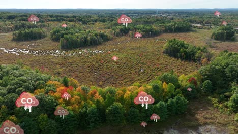 bosques deforestados con símbolos animados de co2 que se elevan a la atmósfera