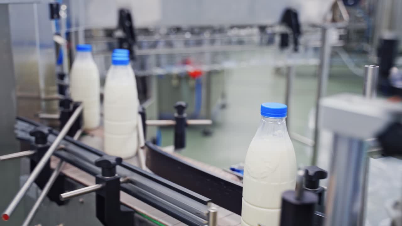 Production line of milk. Automated production line in modern dairy factory