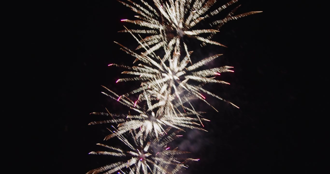 Fuochi d'artificio che illuminano il cielo notturno