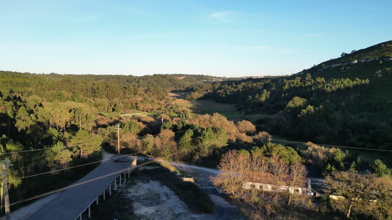 Luftfoto af frodig grøn skov og dal ved gylden time