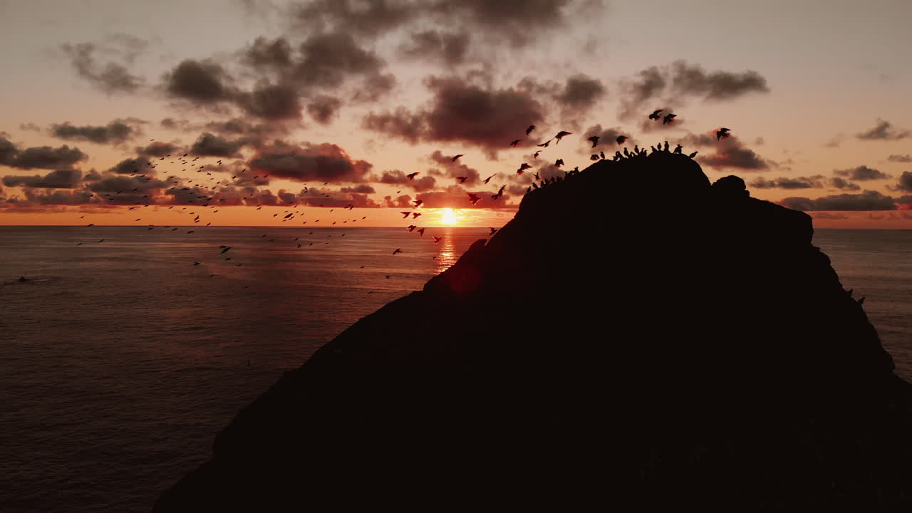Birds on a Cliff at Sunset