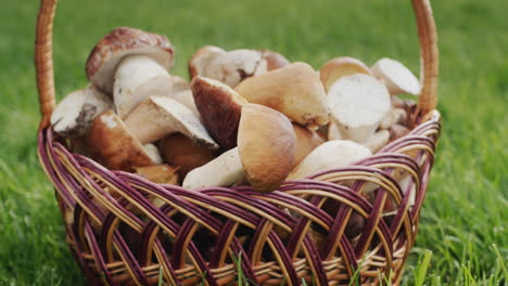 Basket-with-wild-mushrooms-on-green-grass