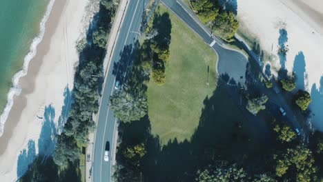 aerial view of beachside road passing through tropical greenery in vung tau, vietnam. the smooth road curves along the coast with a lush green landscape on one side and sandy beach on the other