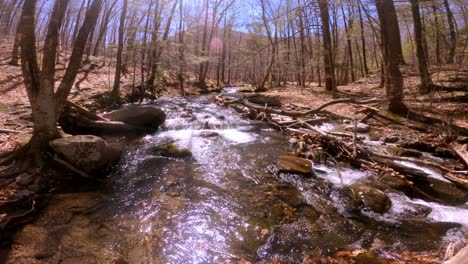 un arroyo de montaña hermoso, suave y ancho a principios de la primavera, después de que la nieve se derrita, en las montañas apalaches