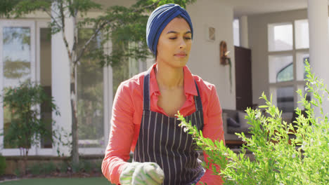video of biracial woman in hijab taking care of plants in garden