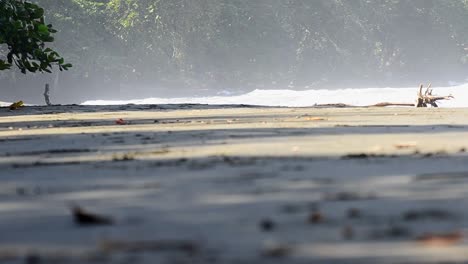 Standbilder-Eines-Schwarzen-Strandes-In-Mittelamerika