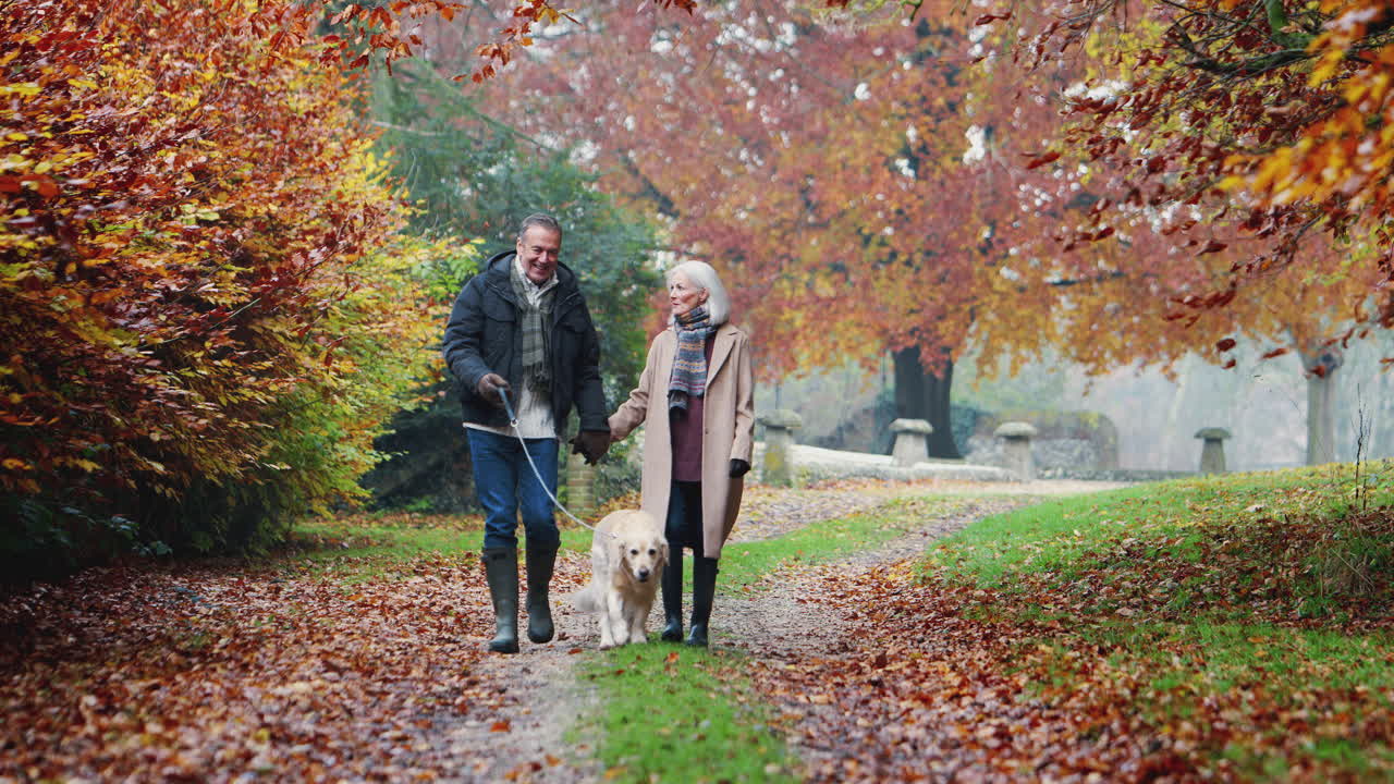 feliz pareja de ancianos jubilados tomando al perro para caminar a lo largo del camino en el campo de otoño juntos