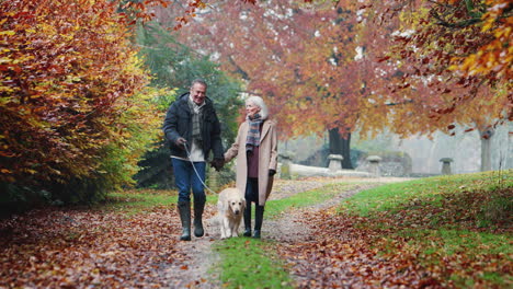 Feliz-Pareja-De-Ancianos-Jubilados-Llevando-A-Su-Perro-A-Caminar-Juntos-Por-El-Camino-En-El-Campo-De-Otoño