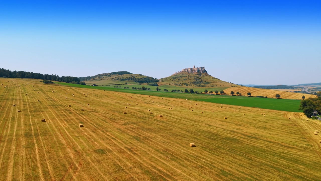 Scatto aereo dall'alto di un campo dorato con balle di fieno e il Castello di Spiš. Veduta aerea panoramica di un campo agricolo giallo con balle rotonde sparse, strada, linee verdi, castello in lontananza