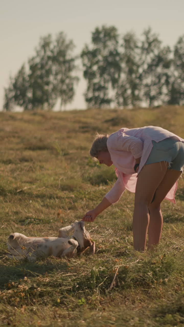 핑크색 셔츠와 쇼트를 입은 개 주인이 개와 함께 농장에서 굴러가도록 훈련하고, 개가 흥분하여 지침을 따르고, 혀를 꺼내고, 밝은 빛의 날씨, 배경에는 멀리 있는 나무가 있습니다.