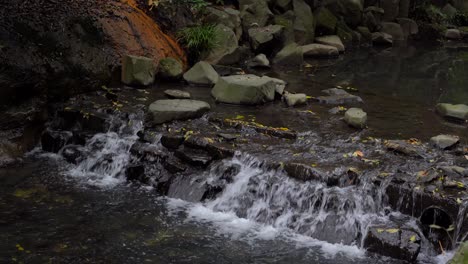 Breite-Kaskadierende-Wasserfälle,-Die-Den-Fluss-Im-Wald-Hinunterfließen