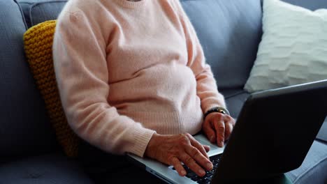 senior woman using laptop in living room