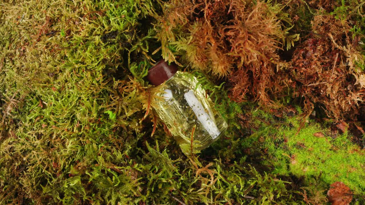 Bottle of cosmetics cream serum on moss forest background green leaves. Woman Make up healthy natural products.