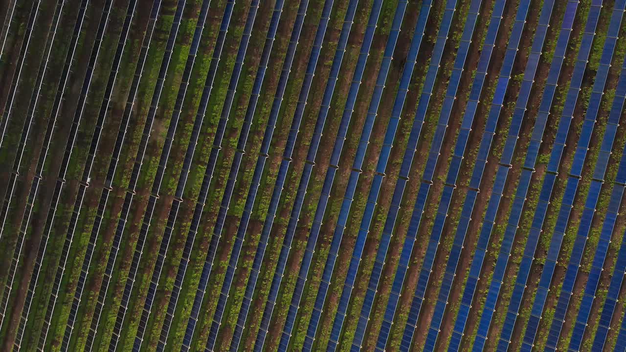 colectores solares termicos