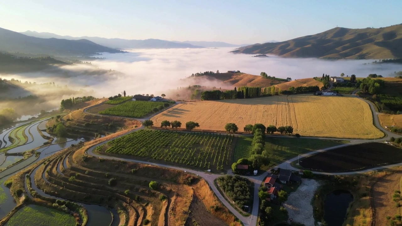 Drone che plana rivela risaie a terrazze, un campo dorato, una strada tortuosa verso la fattoria, catturando la nebbia mattutina.