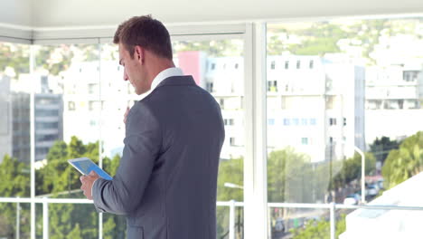 Rear-view-of-businessman-using-tablet