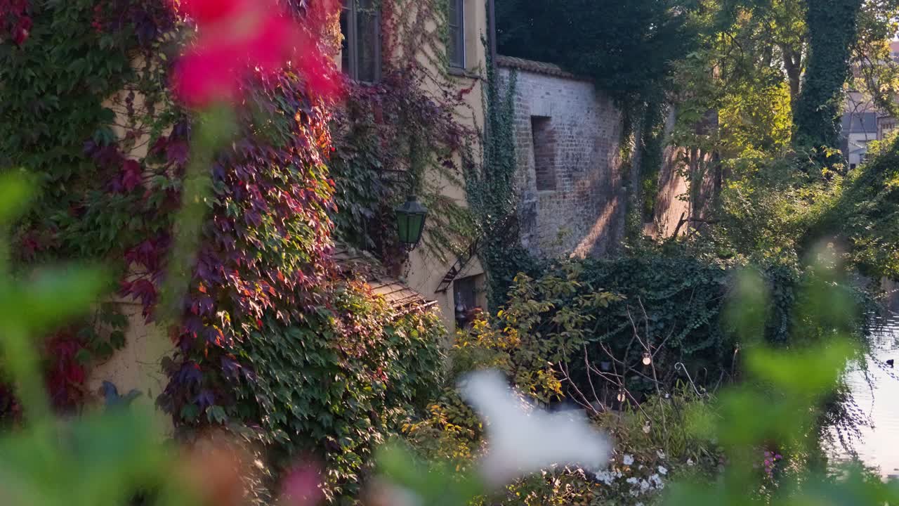 Picturesque Old Building Covered in Ivy by a Canal