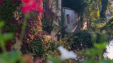 picturesque old building covered in ivy by a canal