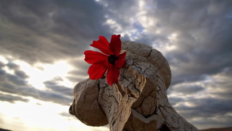 red flower blooming from cracked stone sculpture under a dramatic sky