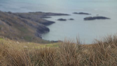 wide shot form ireland of hill and some ocean