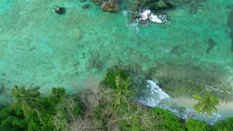 Drone-Ojo-De-Pájaro-Subiendo-Por-Una-Playa-De-Arena-Blanca,-árboles-Cerca-De-La-Playa,-Agua-Turquesa,-Mahe,-Seychelles-60fps