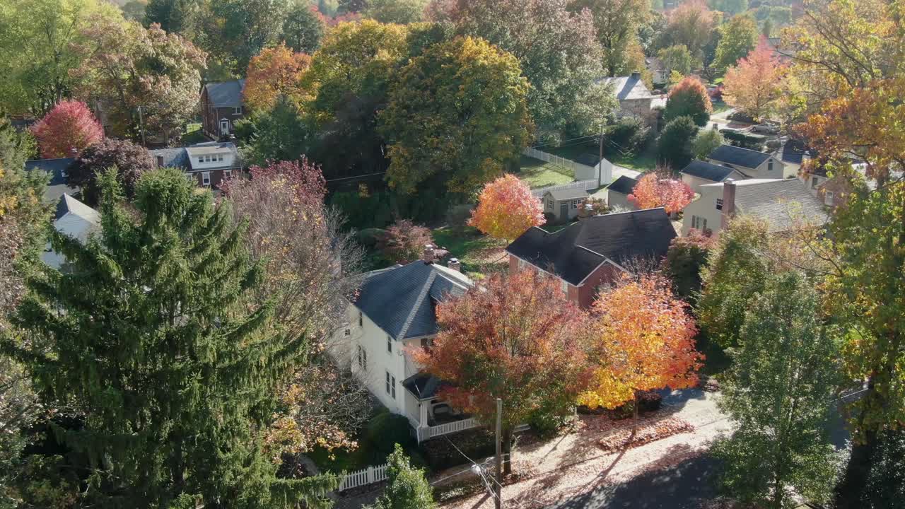 Homes in neighborhood obscured by large trees with autumn fall foliage