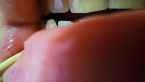 person-cleans-teeth-with-wooden-stick-at-bright-light-macro