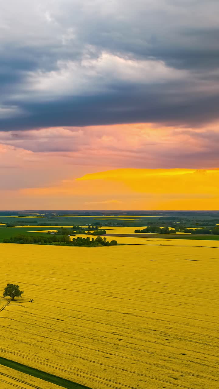Orange sunset fades behind passing clouds over glowing yellow rapeseed field in time lapse