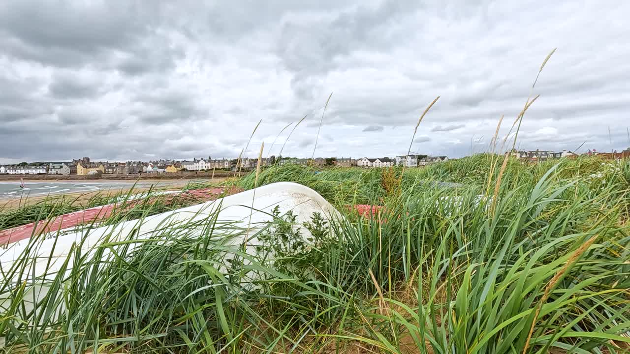 엘리와 에럴스페리 근처에서 바람에 흔들리는 풀