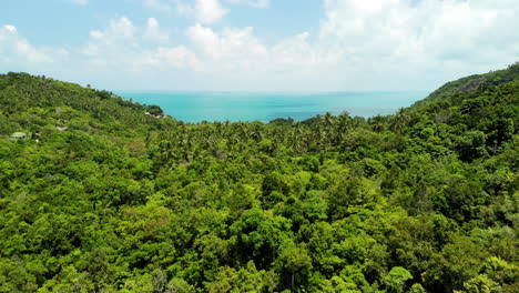 drone flight over a jungle with turquoise ocean on the background