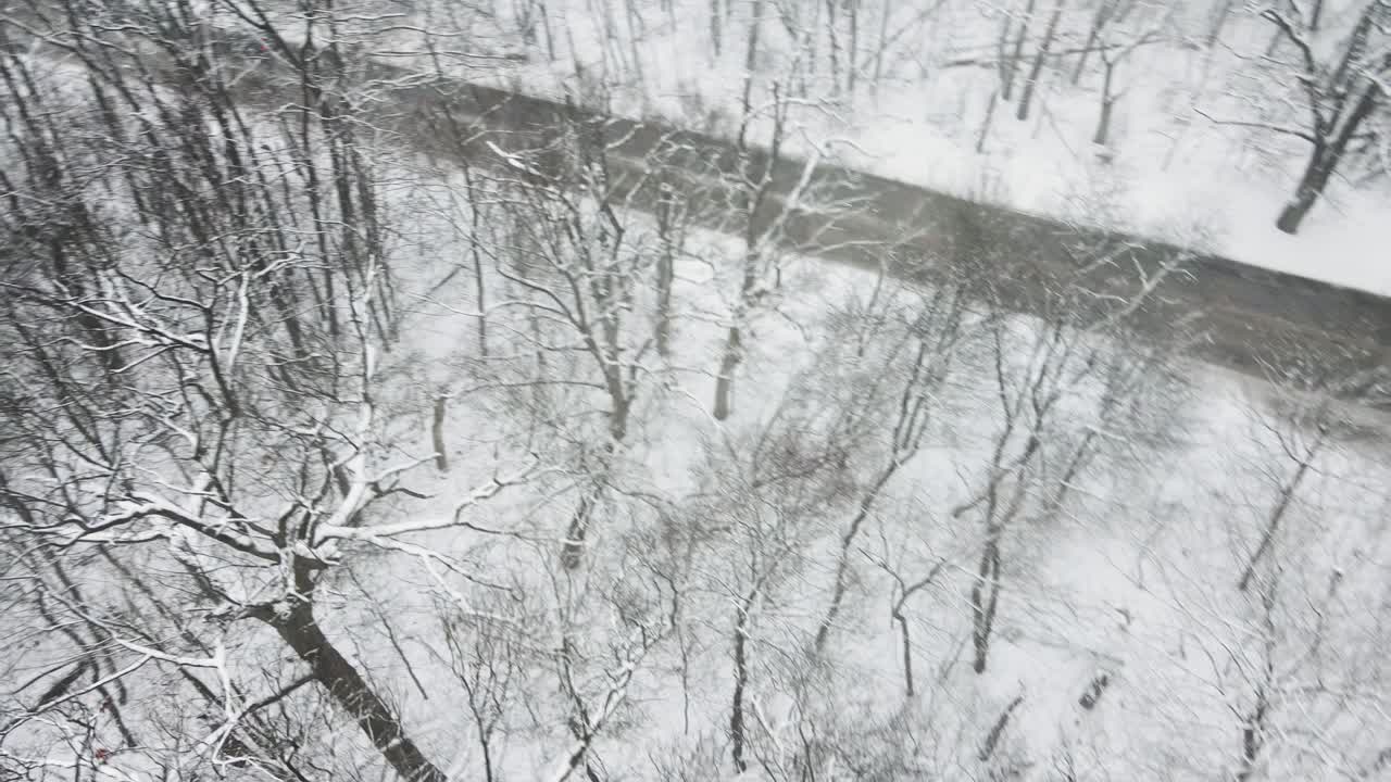 심한 겨울 폭풍으로 눈 속에서 구운 나무 꼭대기와 가지
