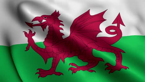 county flag of wales