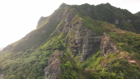 vista ascendente lenta do leão agachado em oahu