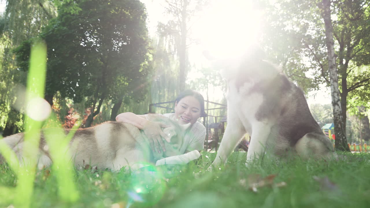 반려동물 주인이 개들과 함께 피크닉을 하고 있다